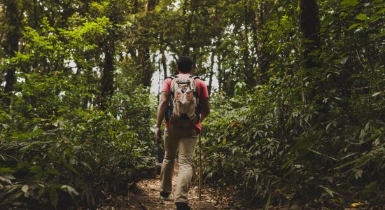 backpacker-hiking-forest